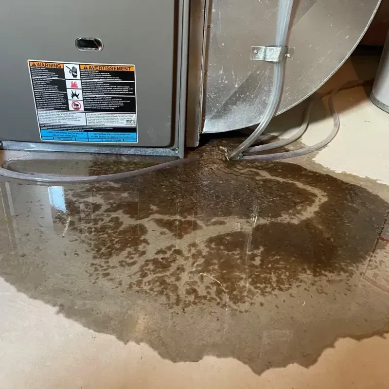 Appliance Leak Cleanup in Ardmore, TN